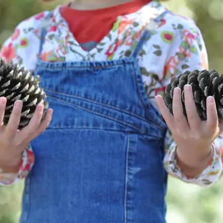 Bel Avec 1 Chambre, Parking, Animaux Admis, Pres Du Golf - Fr-1-323-539