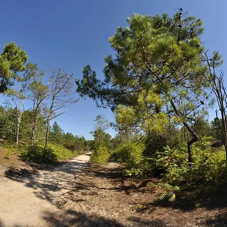 Apartment Bel Avec 1 Chambre, Parking, Animaux Admis, Pres Du Golf - Fr-1-323-539