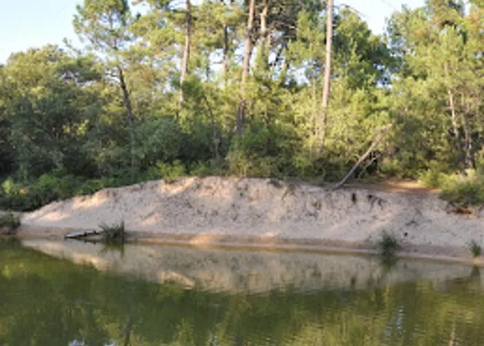 Bel Avec 1 Chambre, Parking, Animaux Admis, Pres Du Golf - Fr-1-323-539 Apartment *