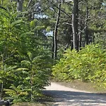 Bel Avec 1 Chambre, Parking, Animaux Admis, Pres Du Golf - Fr-1-323-539 *