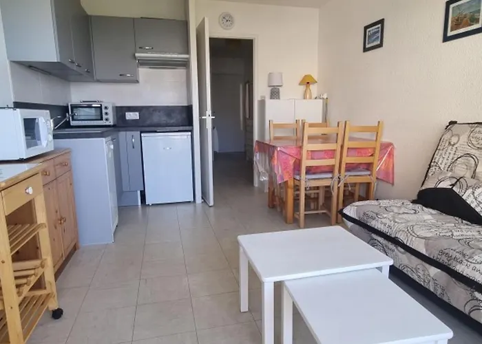 Bel Avec 1 Chambre, Parking, Animaux Admis, Pres Du Golf - Fr-1-323-539