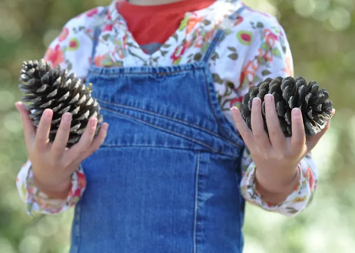 Bel Avec 1 Chambre, Parking, Animaux Admis, Pres Du Golf - Fr-1-323-539