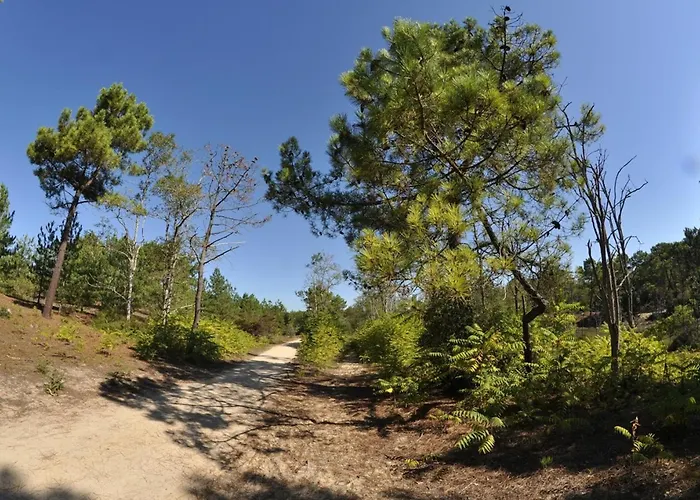 Apartamento Bel Avec 1 Chambre, Parking, Animaux Admis, Pres Du Golf - Fr-1-323-539